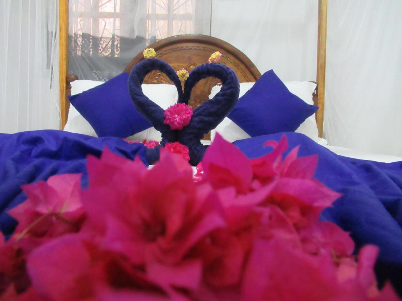 Timasha Homestay