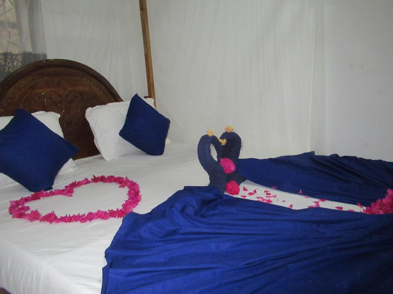 Timasha Homestay *